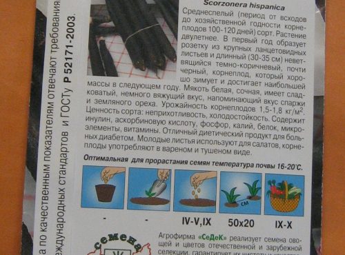 Skortsonera1-500x370 Скорцонера